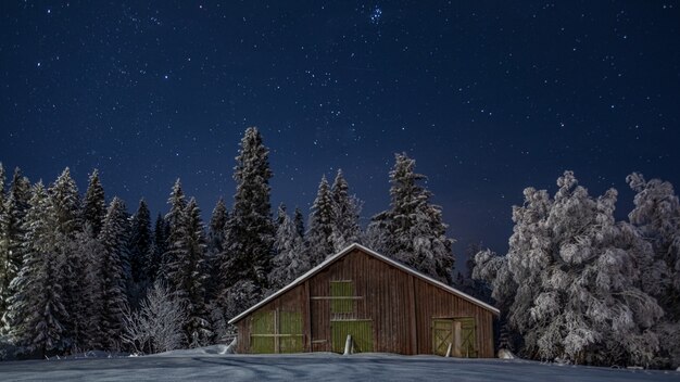 Небольшой деревянный дом в живописном зимнем лесу на звездном ночном небе
