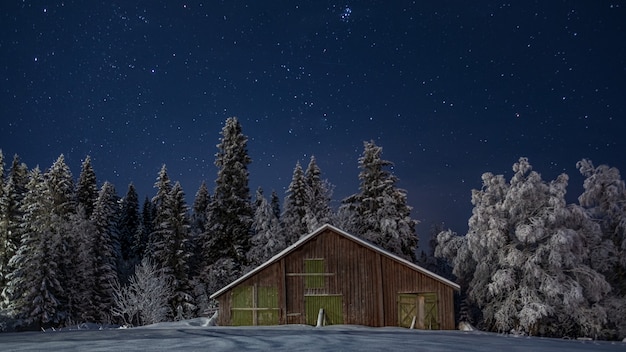 Small wooden house in the scenic winter forest on the starry night sky