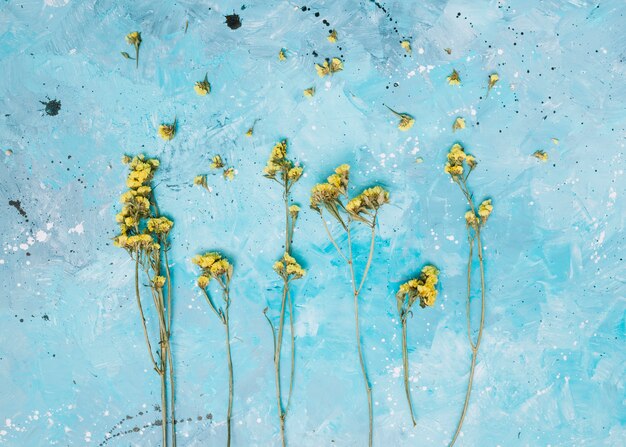 Small yellow flowers branches on table