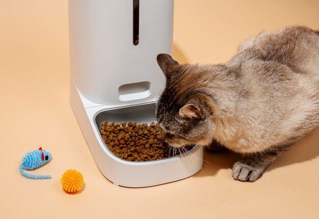 Smart feeder for pets still life