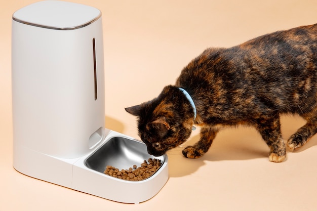 Smart feeder for pets still life