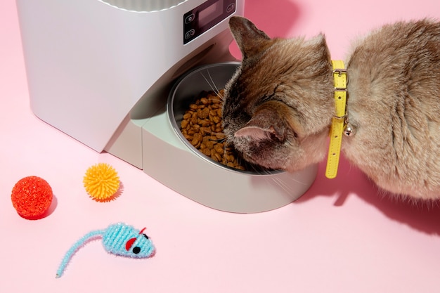 Free photo smart feeder for pets still life