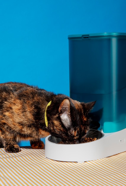 Smart feeder for pets still life