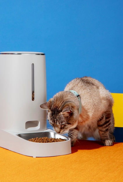 Free photo smart feeder for pets still life