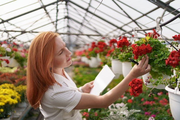 Бесплатное фото Умный контроль теплицы. работница осматривает красные цветы и отмечает данные при дневном свете