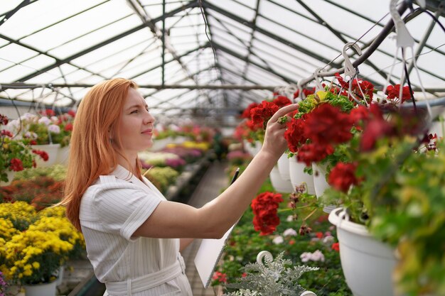 Smart greenhouse control. Female worker inspects red flowers and note data at daylight