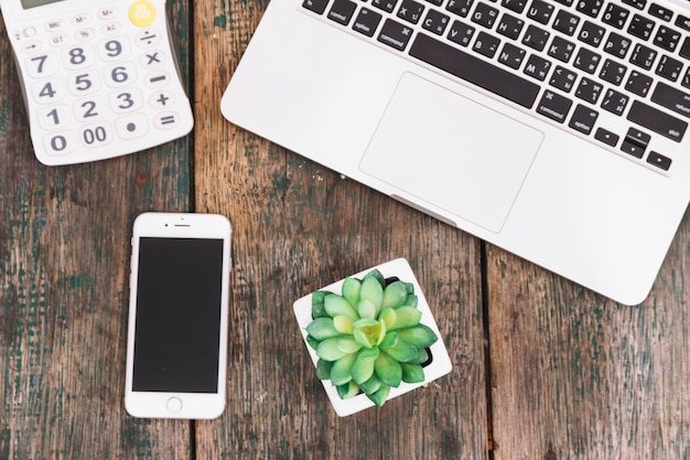 Smartphone and plant near calculator and laptop