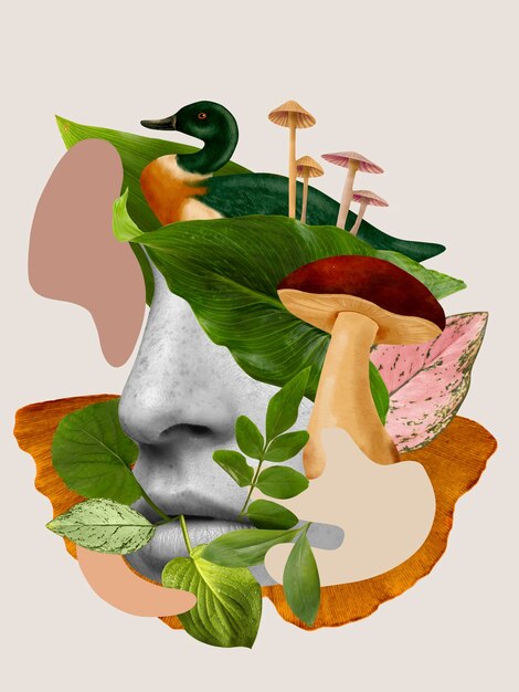 Smelling sense and mushrooms collage