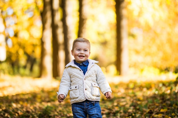 秋の森の木の近くに立っているかわいい男の子を笑顔します。秋の公園で遊んでいる少年。