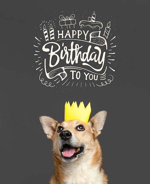 Бесплатное фото Смайлик собака в бумажной короне