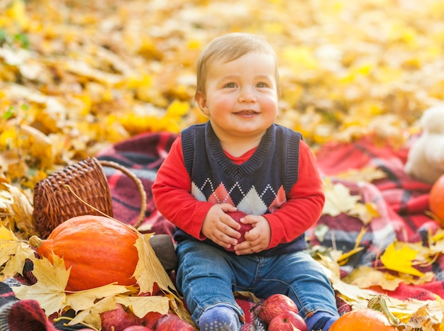 Smiley little boy sitting on a blanket