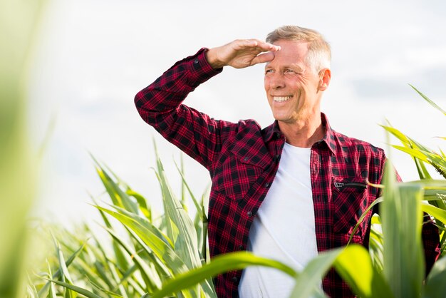 Smiley middle age man  looking away in a cornfield