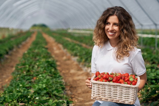 Foto gratuita la bruna sorridente sta tenendo il cesto con le fragole