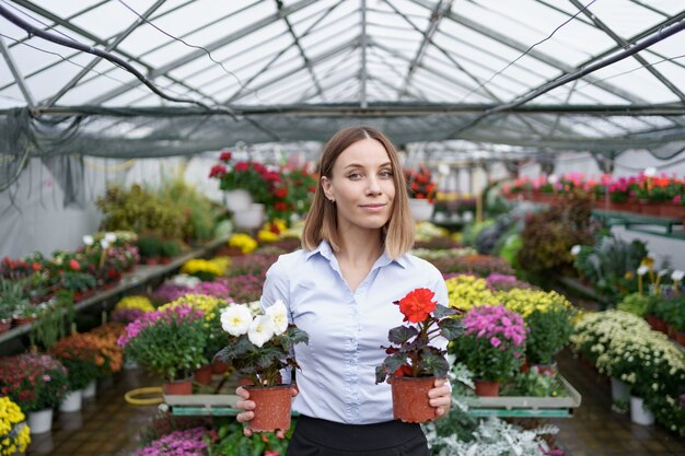 Smiling business owner in her nursery standing holding in hands two pots with red and white flowers in the greenhouse