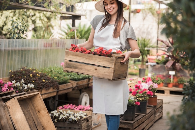 温室に赤いベゴニア花の木箱を持っている女性の庭師を笑顔