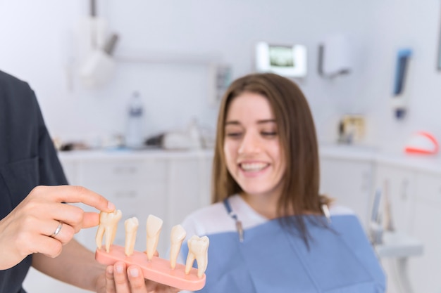 Smiling female patient looking at different types of teeth model