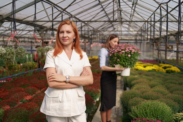 Smiling Greenhouse owner posing with folded arms having many flowers and a colleague holding a pot with pink chrysanthemums under glass roof