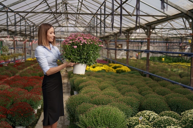 Smiling happy florist in her nursery standing holding potted chrysanthemums in her hands as she tends to the gardenplants in the greenhouse