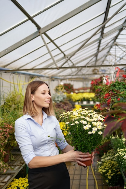 彼女は温室の園芸植物に傾向があるように彼女の手で鉢植えの菊を持って立っている彼女の保育園で幸せな花屋を笑顔