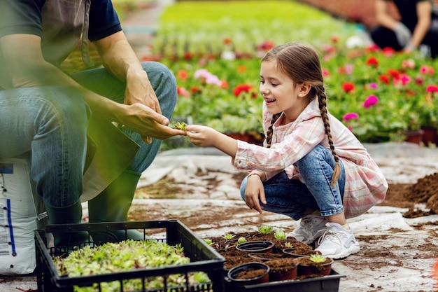 Улыбающаяся маленькая девочка развлекается, помогая отцу и сажая цветы в горшок в питомнике растений