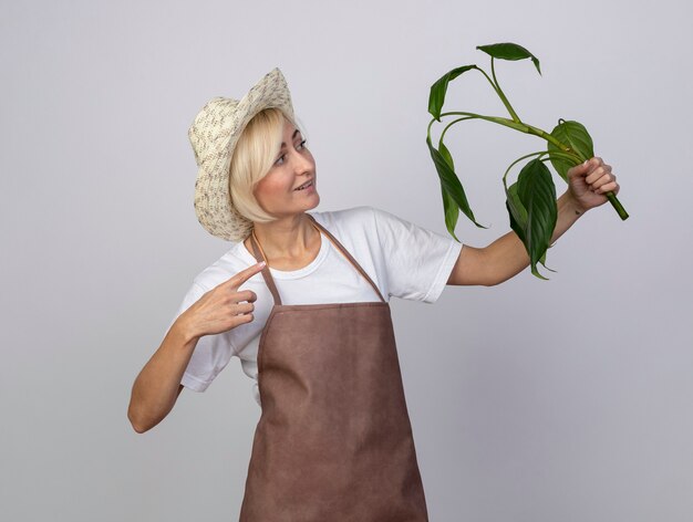 白い壁に隔離された植物を指差して見ている帽子をかぶって制服を着た中年の金髪の庭師の女性の笑顔