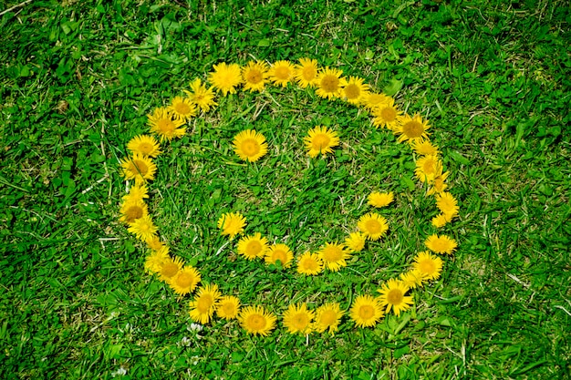 Smiling sun on the grass