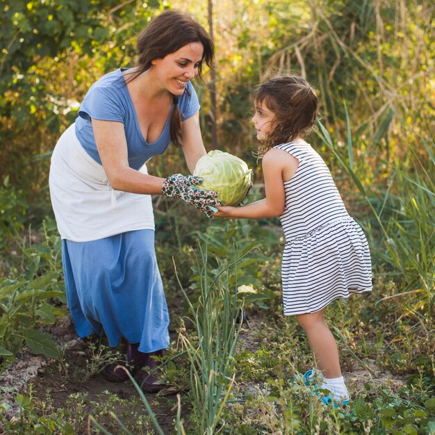 Smiling woman giving harvested cabbage to her daughter in the field