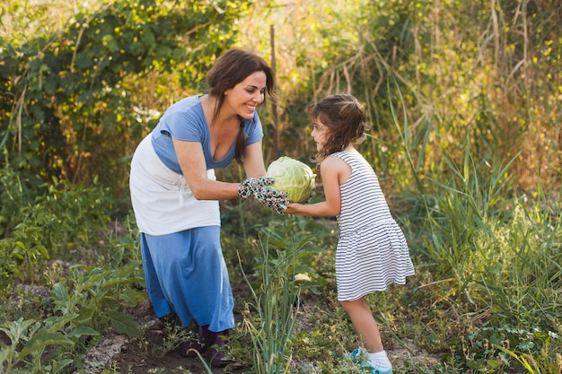 Улыбается женщина дает собранной капусты дочери в поле