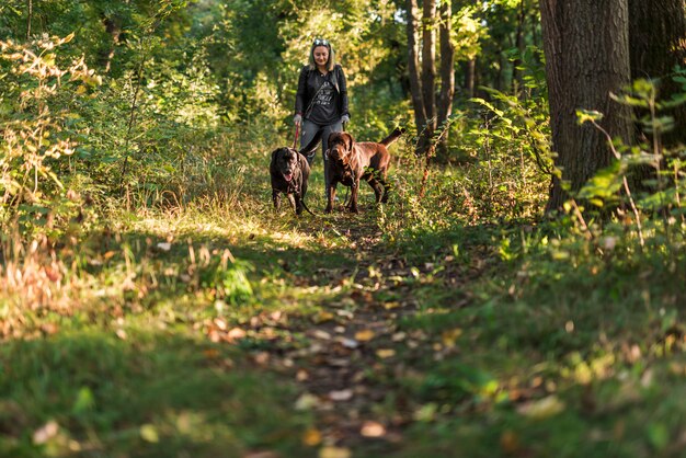 Smiling woman holding leash her pets while walking in forest