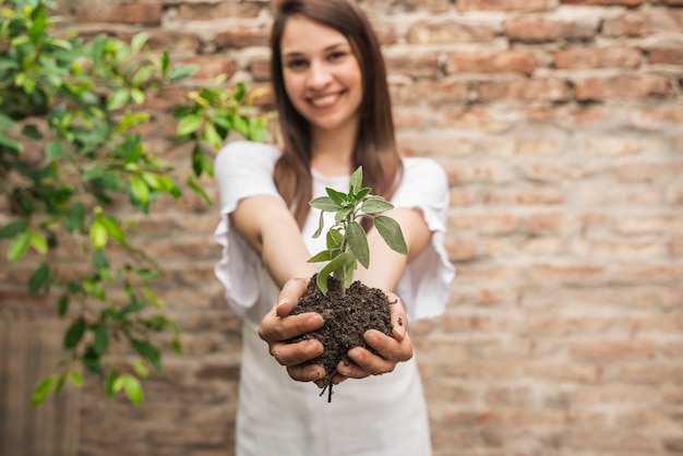 Smiling woman holding small plant with soil