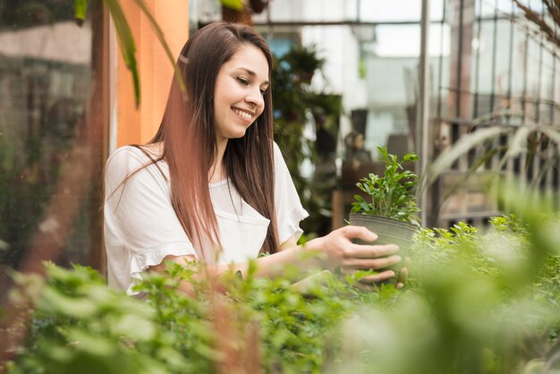 Smiling woman looking at potted plant in greenhouse