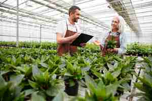 Free photo smiling workers in garden looking and touching plants