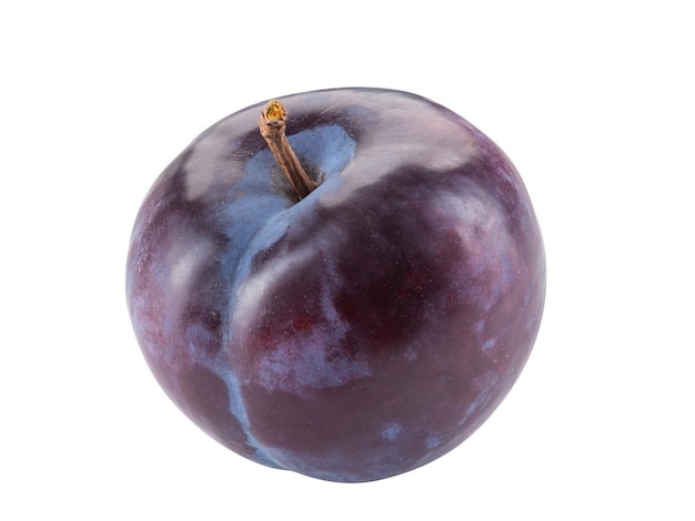 Smooth-skinned, mellow, purple plum fruit isolated on white background with copy space for text or images. Clipping path. Side view. Close-up shot.