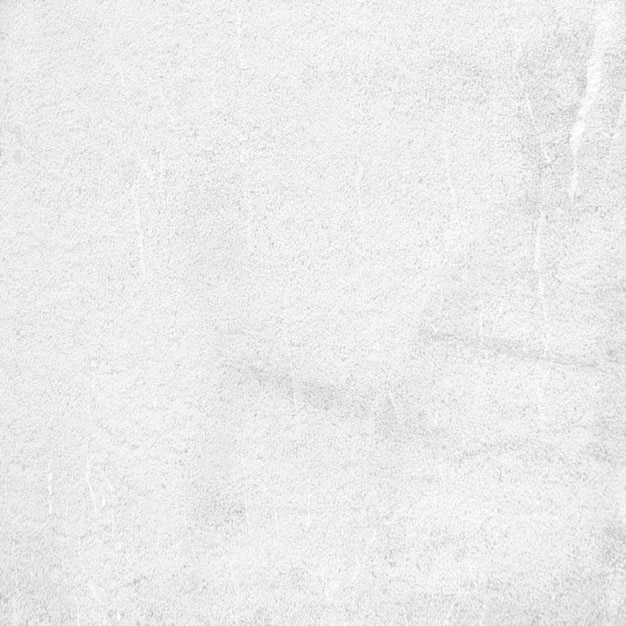 부드러운 흰색 치장 용 벽 토 벽