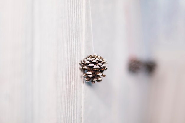 Snag hanging on string near wall