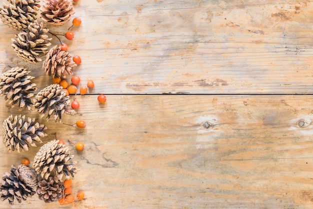 Snags and berries on wood