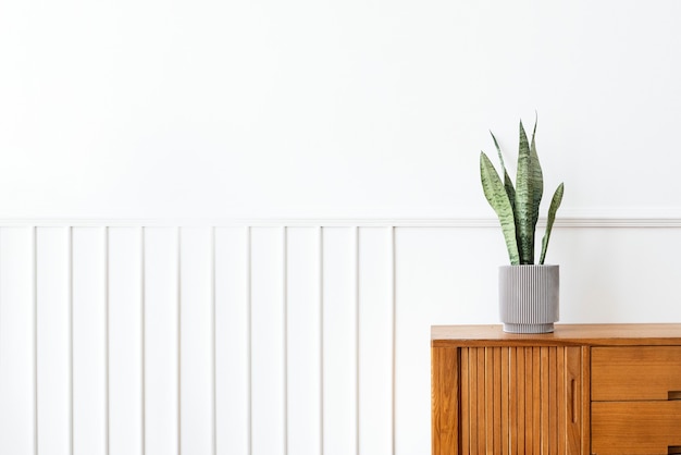 Free photo snake plant in a gray plant pot on a wooden cabinet