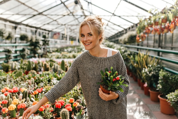 Снимок жизнерадостной женщины в большом вязаном платье, выбирающей кактус в магазине растений.