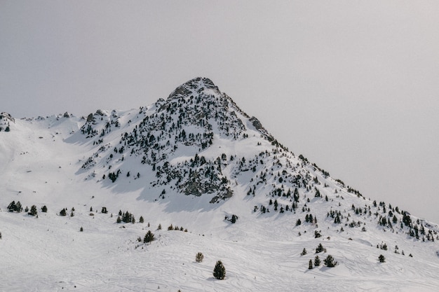 雪をかぶった山