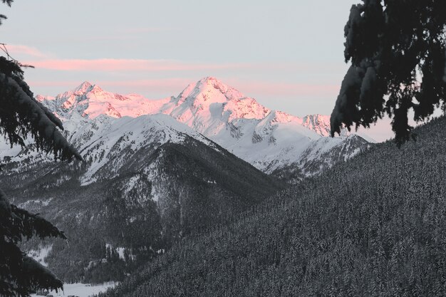 Snow Capped Mountain