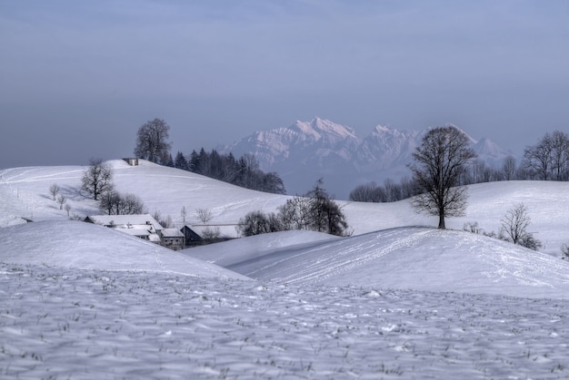Snow covered field with bare trees and mountains in distance