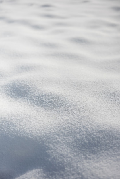 免费照片白雪覆盖的土地