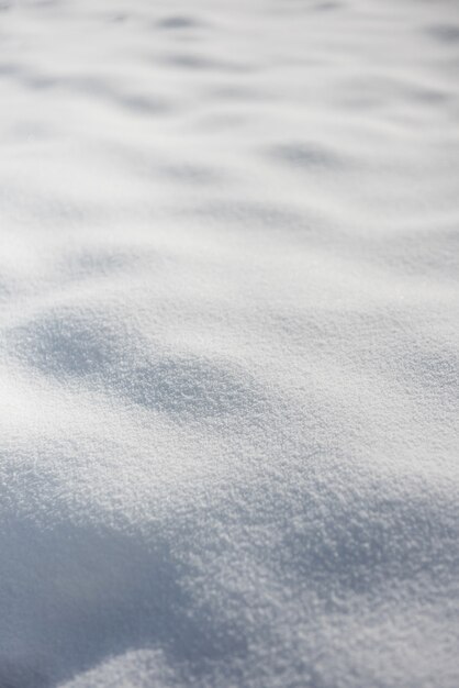 Snow covered land