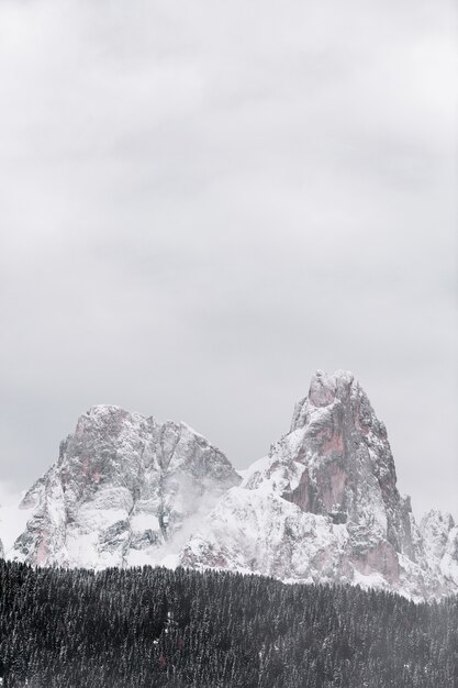 冬の季節の森の雪に覆われた山