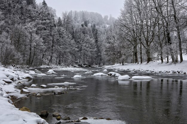 昼間は雪に覆われた川や木々