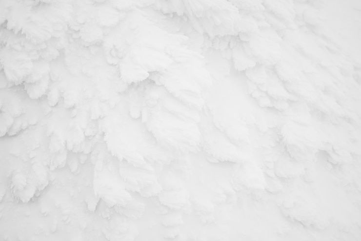 Free Photo snow monsters area mountain zao, japan .