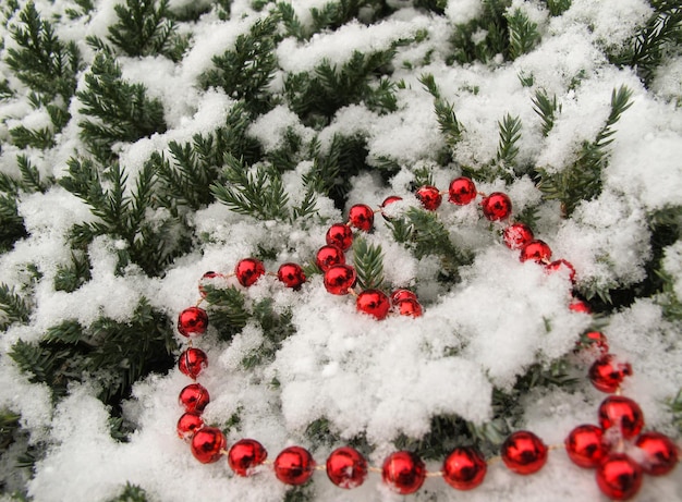 Snowcovered coniferous branches and red beads in shape of a heart valentines day background