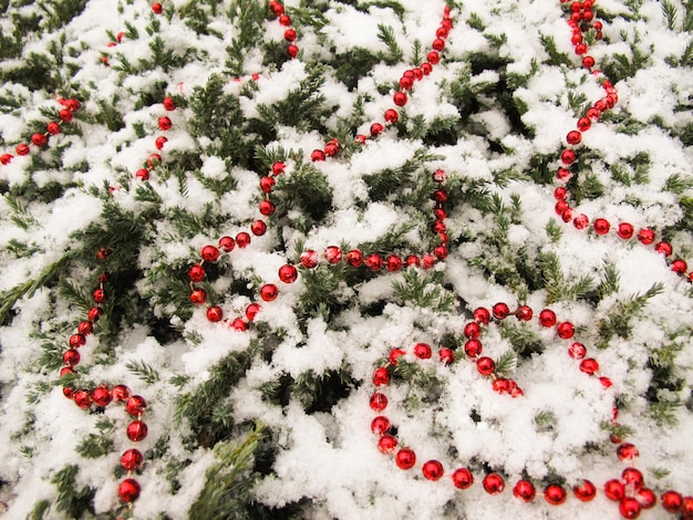 Snowcovered coniferous branches and red beads in shape of a heart valentines day background