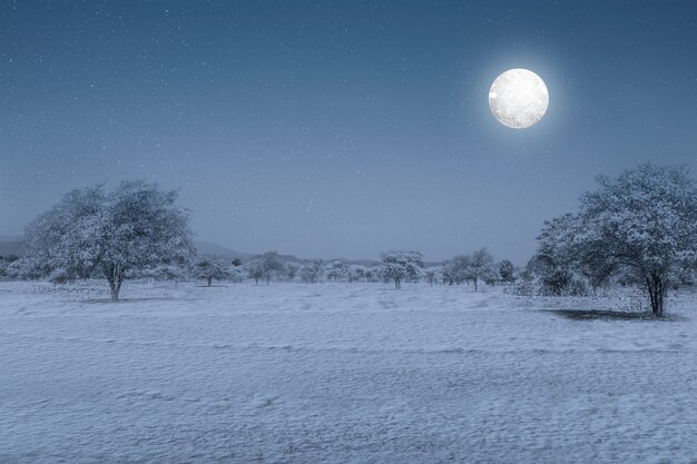 Snowfield with full moon at night