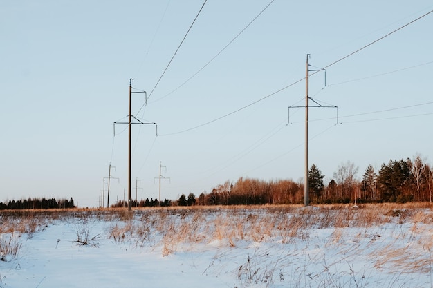 Snowy field with trees and power lines on a winter day